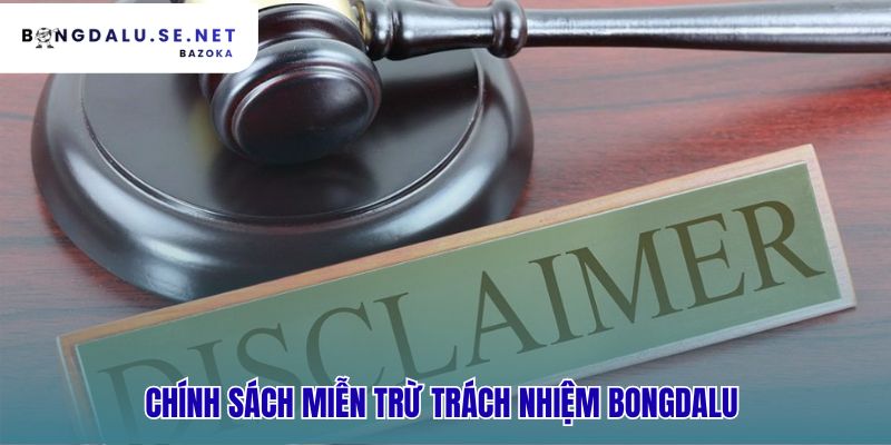 Chính sách miễn trừ trách nhiệm phân định vai trò nhà cung cấp