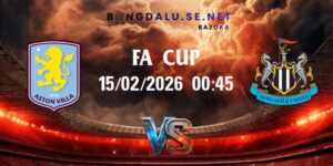 Aston Villa vs Newcastle